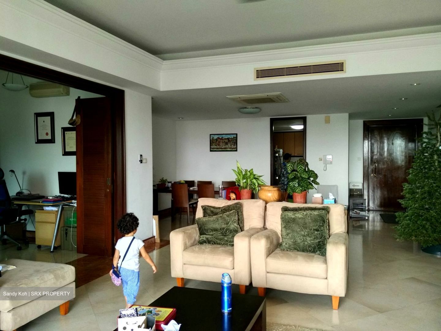 Pebble Bay (D15), Condominium #548930461